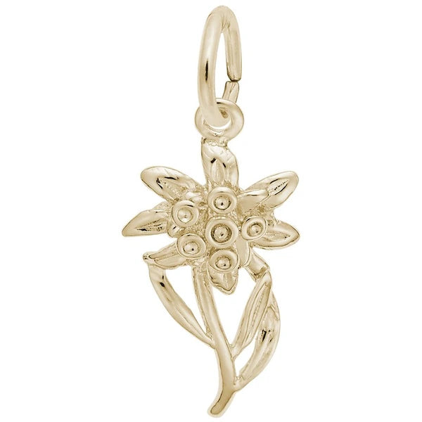 EDELWEISS