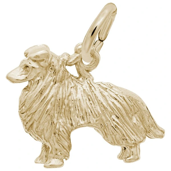 COLLIE