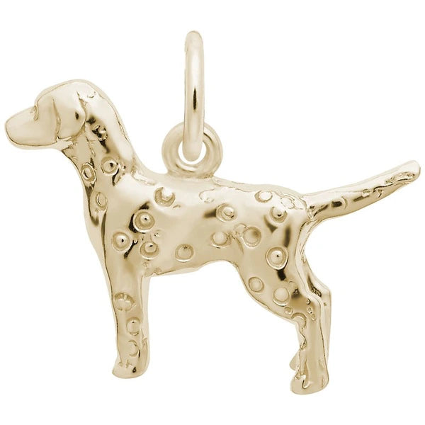 DALMATIAN