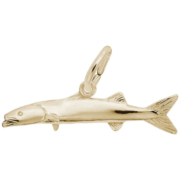 BARRACUDA