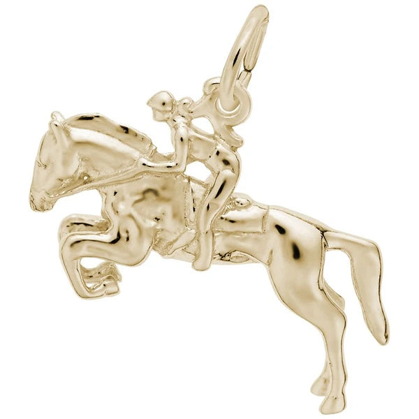 HORSE AND RIDER