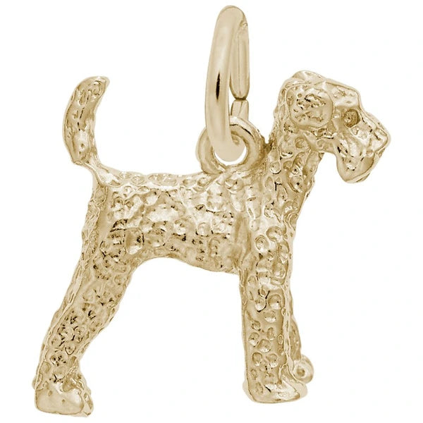 AIREDALE