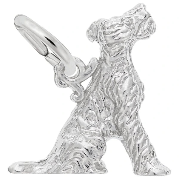 TERRIER