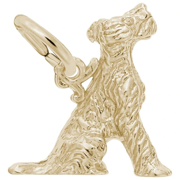 TERRIER