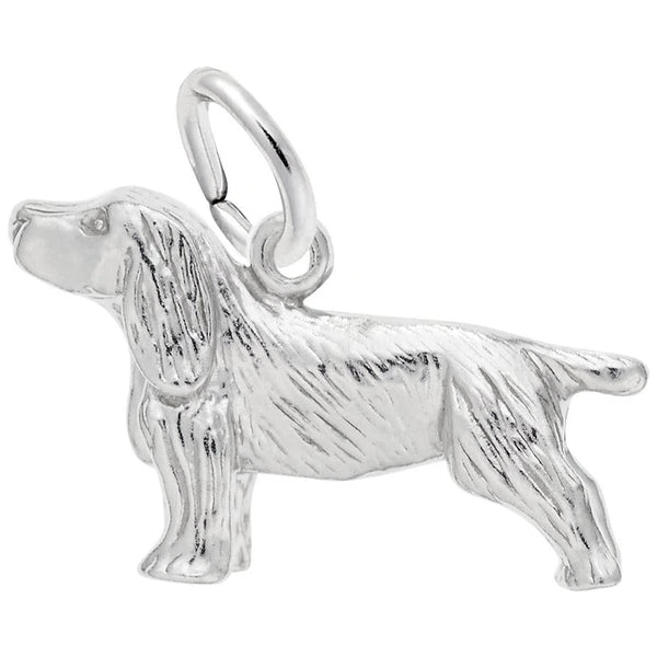 SPRINGER SPANIEL