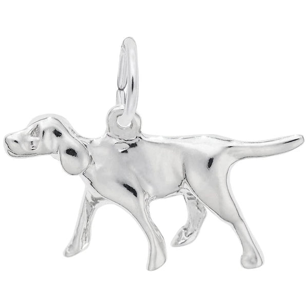 RETRIEVER