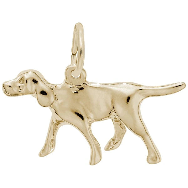 RETRIEVER