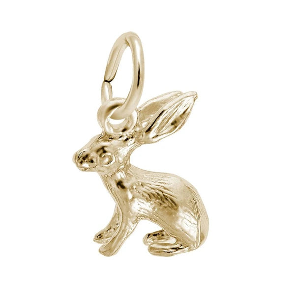 BUNNY