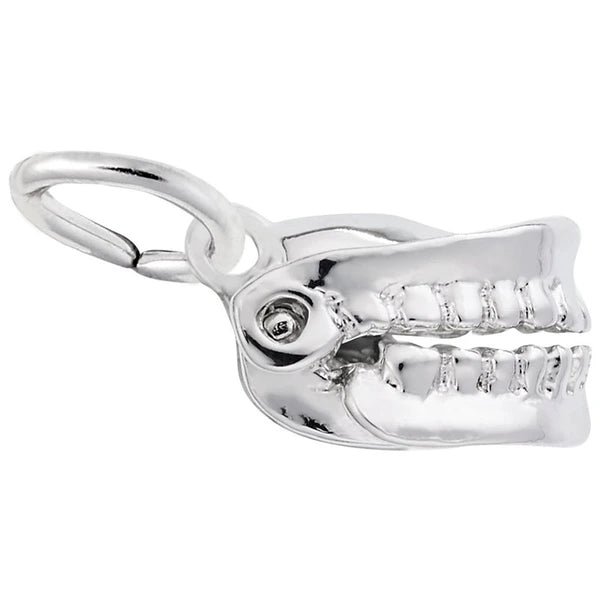 FALSE TEETH