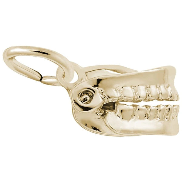 FALSE TEETH