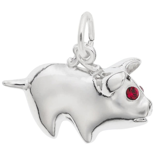 PIGGY BANK