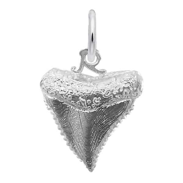 SHARK TOOTH