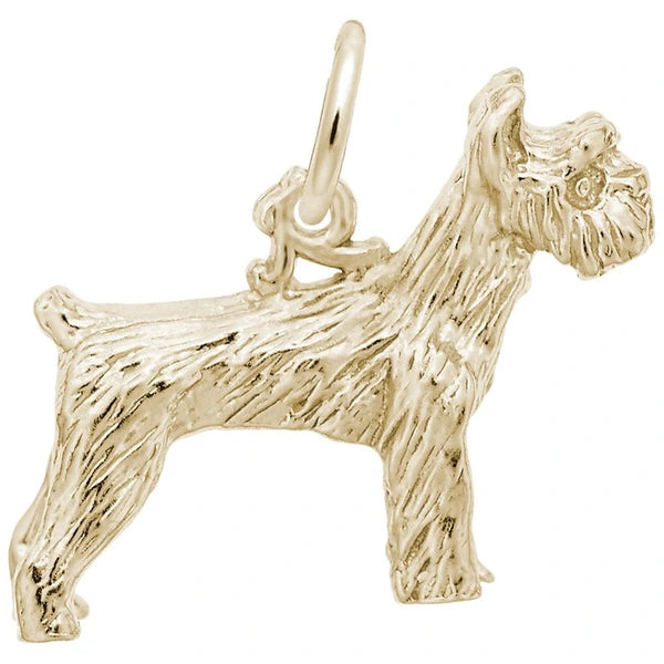 SCHNAUZER