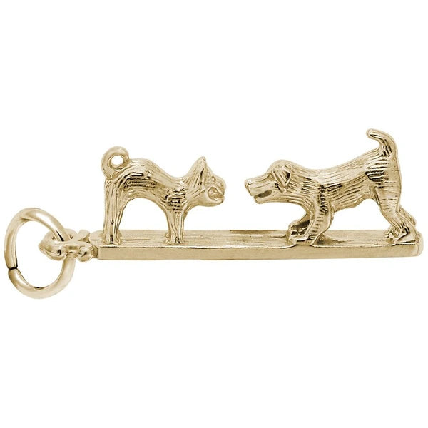 CAT & DOG