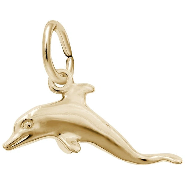 DOLPHIN