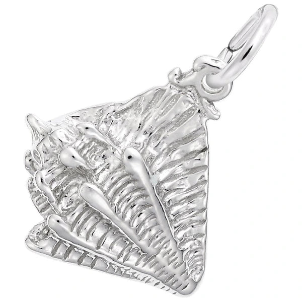 CONCH SHELL