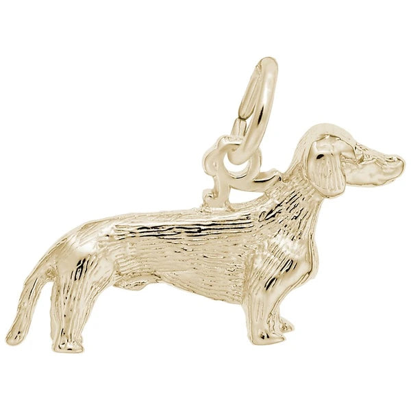 DACHSHUND