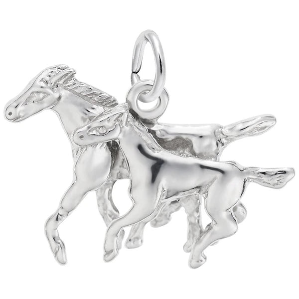 HORSE AND COLT
