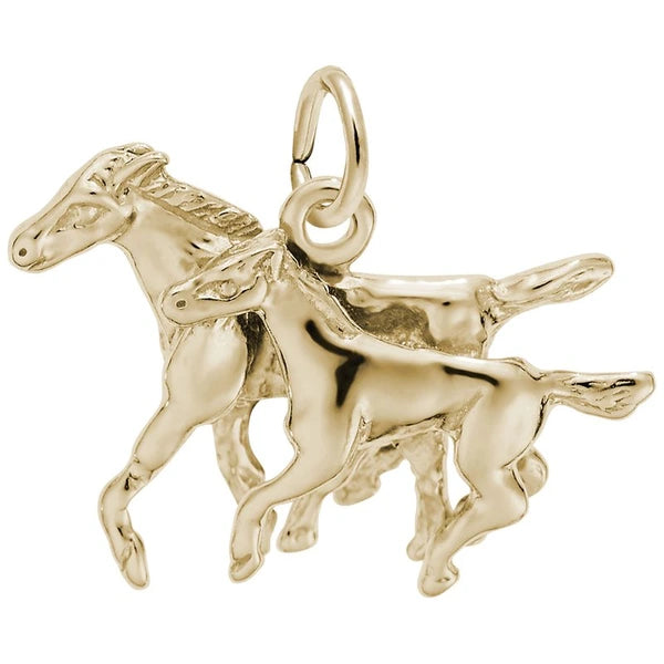 HORSE AND COLT