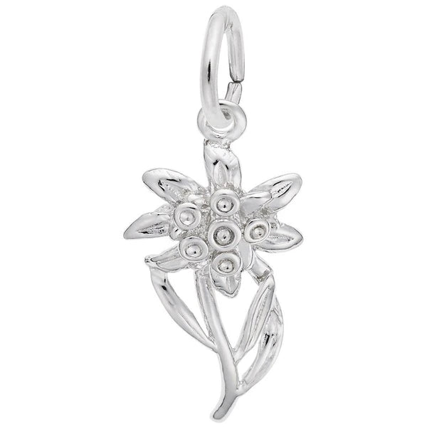EDELWEISS