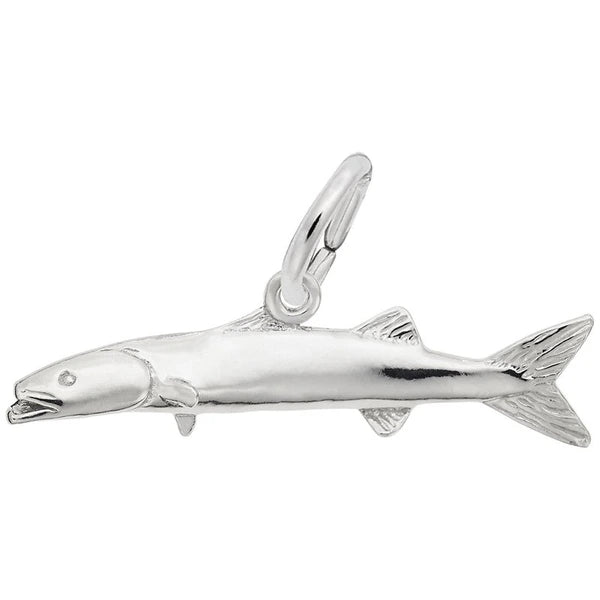 BARRACUDA