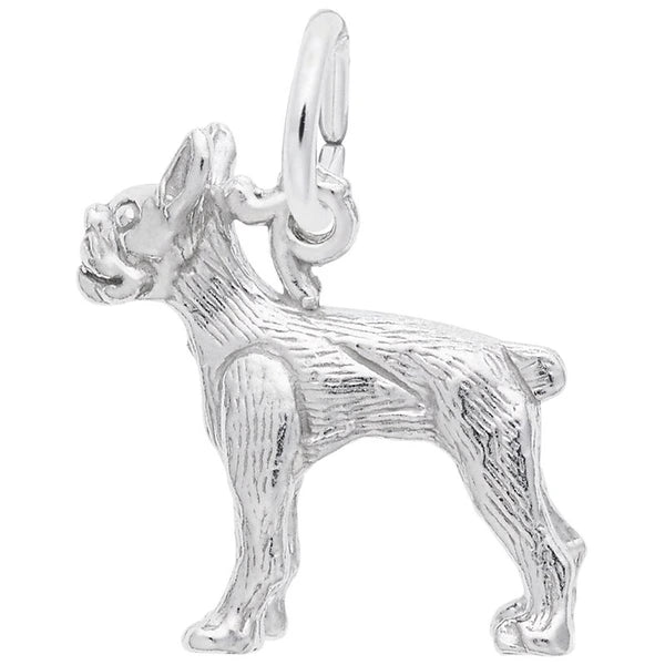 BOSTON TERRIER