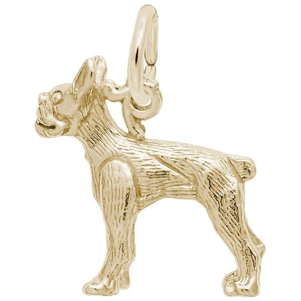 BOSTON TERRIER