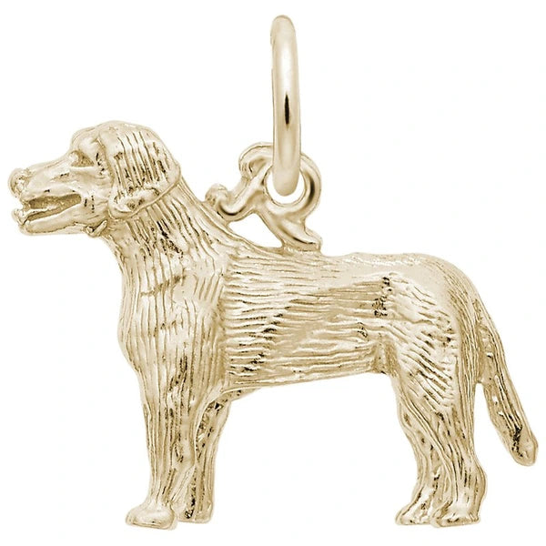 LABRADOR