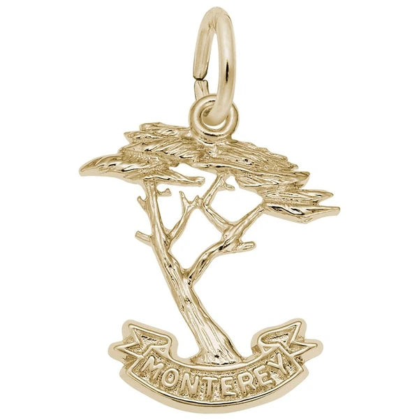 MONTEREY CYPRESS