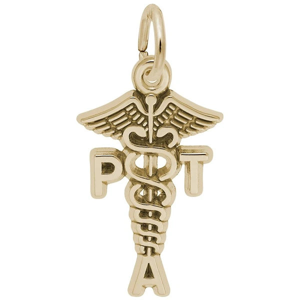 PT ASSISTANT