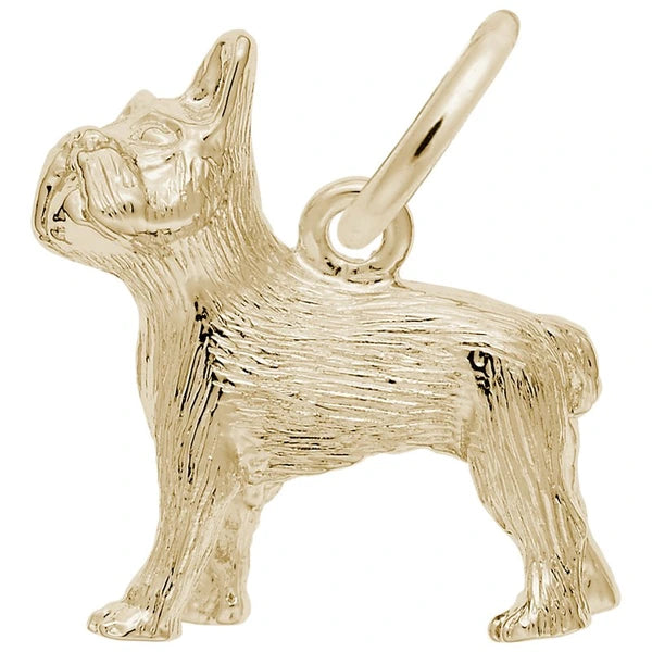 FRENCH BULLDOG