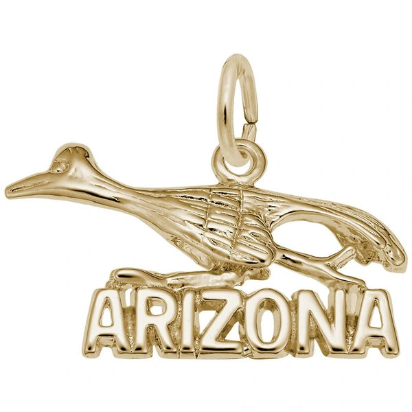 ARIZONA ROAD RUNNER