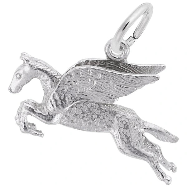 PEGASUS