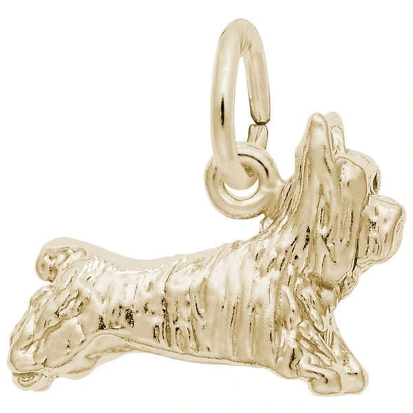 TERRIER