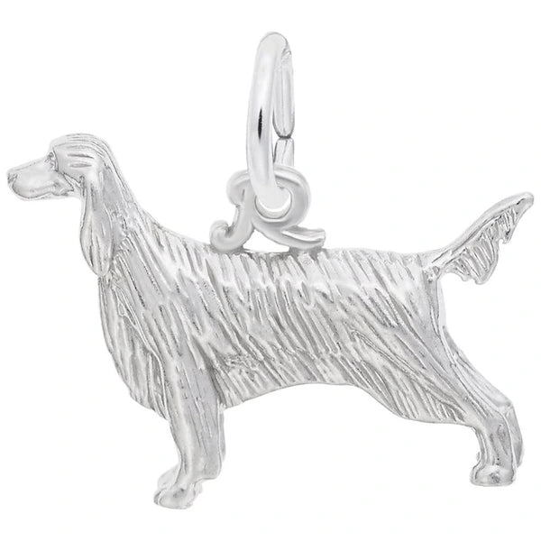 IRISH SETTER