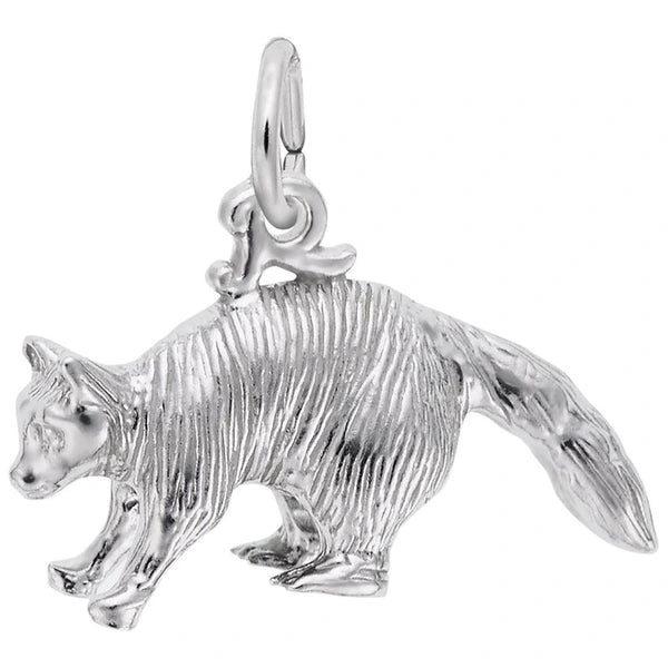 RACCOON