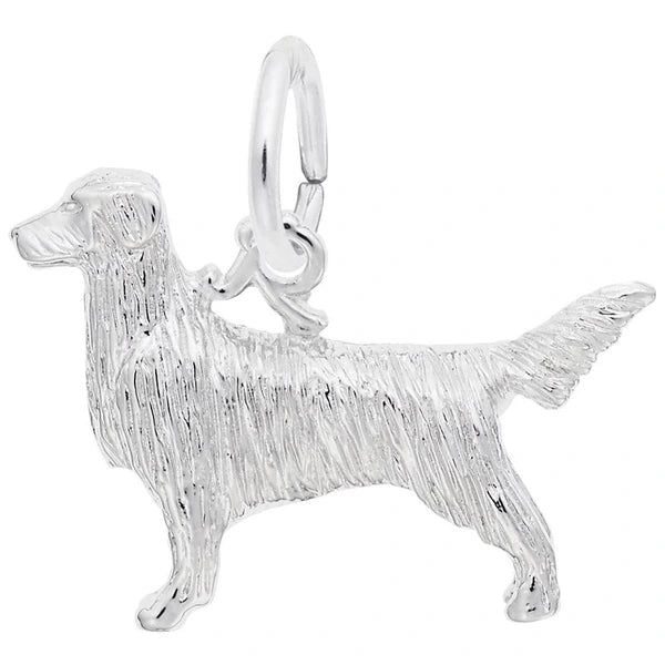 RETRIEVER