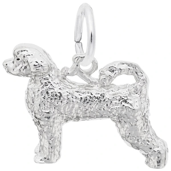 PORTUGUESE WATER DOG