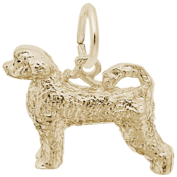 PORTUGUESE WATER DOG