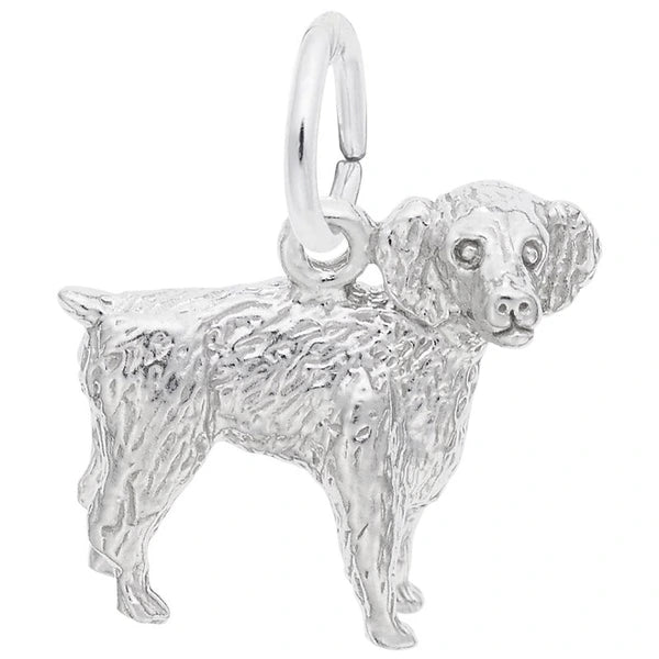 BOYKIN SPANIEL