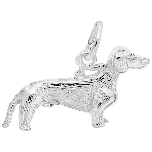 DACHSHUND DOG