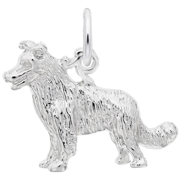 BORDER COLLIE DOG