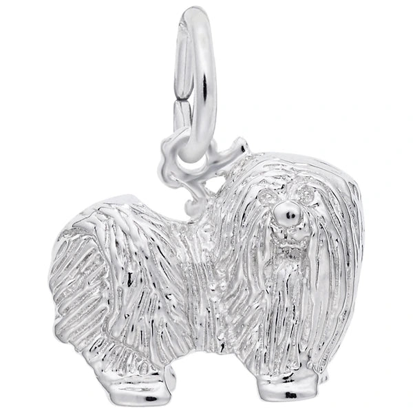 MALTESE DOG