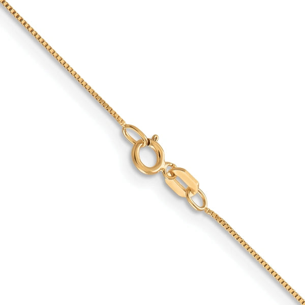 Leslie's (10K & 14K) Baby Box Chain