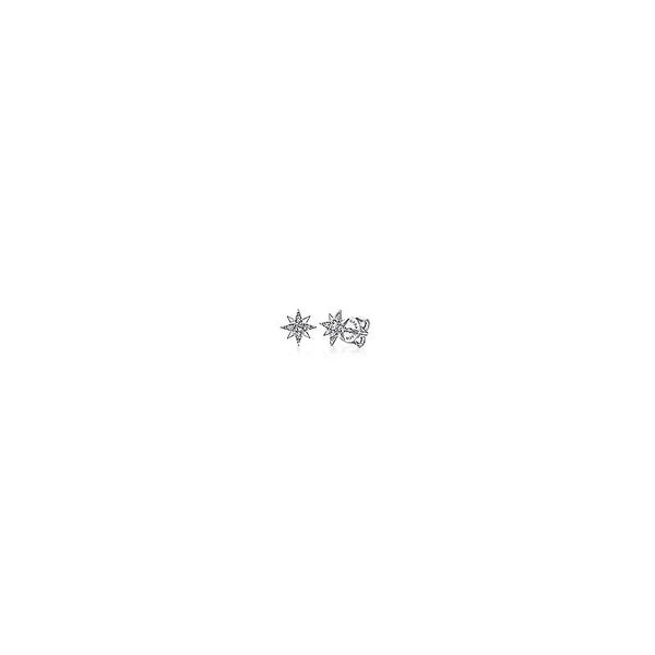 14K White Gold Diamond Stud Star Earrings