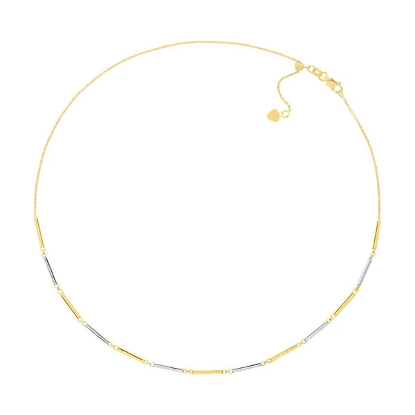 Two-Tone AlterN/Ating Bars Adjustable Choker