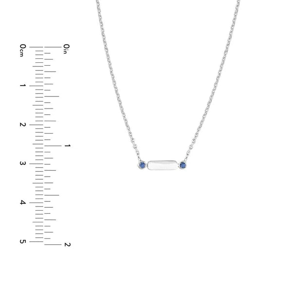 Mini Hexagon Bar with Sapphire Points Necklace
