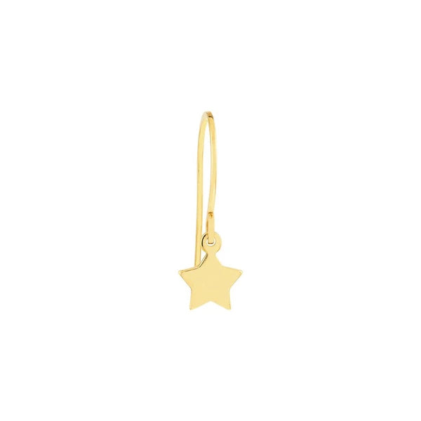 Mini Star Drop Earrings on Fish Hooks