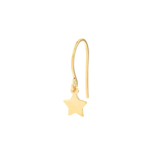 Mini Star Drop Earrings on Fish Hooks