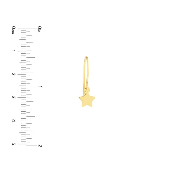 Mini Star Drop Earrings on Fish Hooks